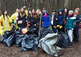Podlaskie firmy. Pracownicy spółki Glosel posprzątali las w Białymstoku (zdjęcia)