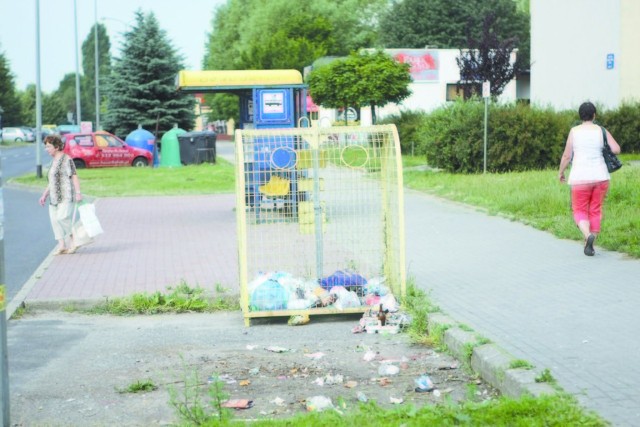 Pierwsza grupa pojemników znajduje się przy samym przystanku.