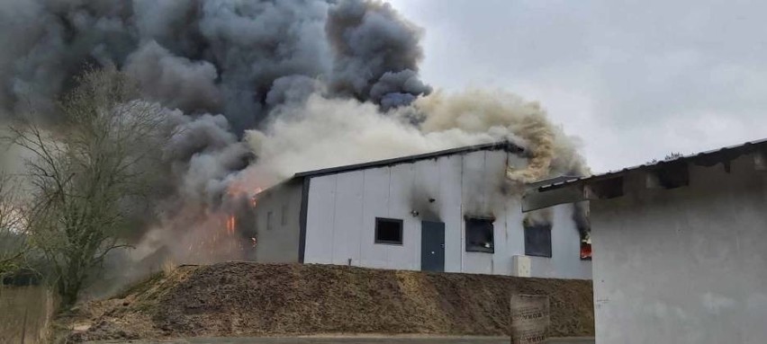 Pożar budynku inwentarskiego w Darnowie, gm. Kępice 28.02.2020. Strażacy wciąż walczą z ogniem