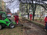 Zamiast brzydkiego betonu, będzie kawałek zielonego terenu na Borkach w Radomiu