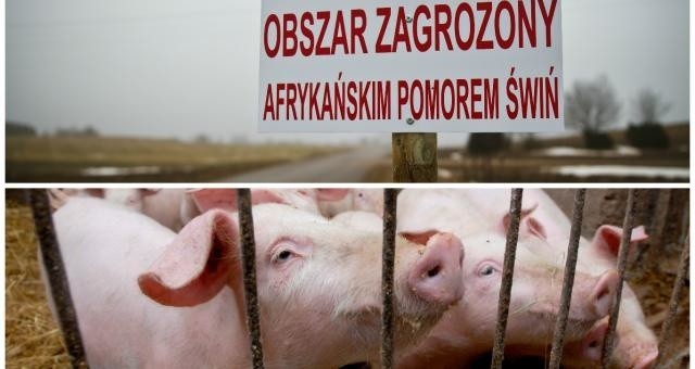 Będą pieniądze dla rolników. Na ochronęBędą pieniądze dla rolników. Na ochronę