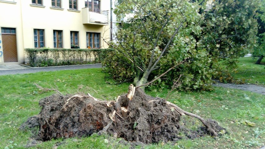 Przeszedł orkan Ksawery. 18 osób rannych, 43 tys. ludzi bez prądu [ZDJĘCIA]