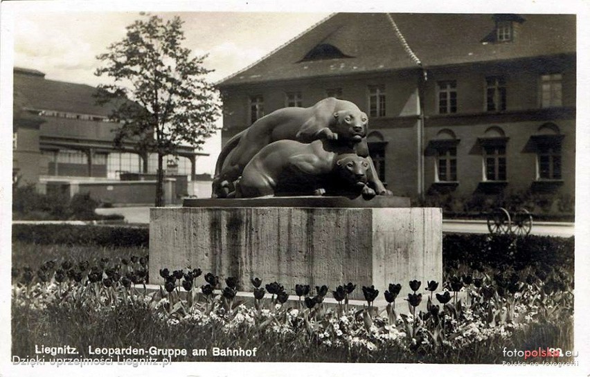 Rzeźba Leopardów w Legnicy...