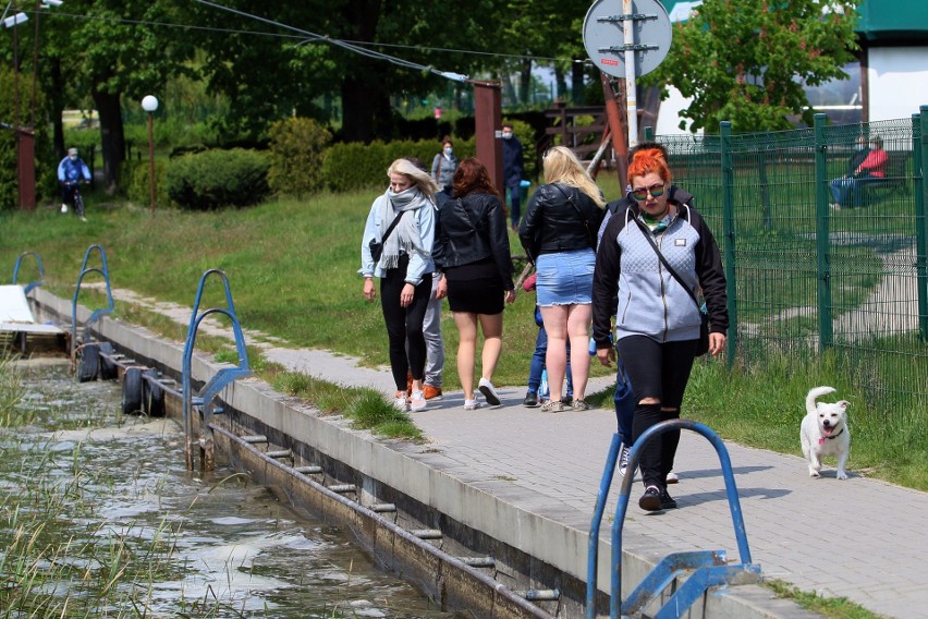 Lublinianie odpoczywali nad Zalewem. A w wodzie - martwe ryby 