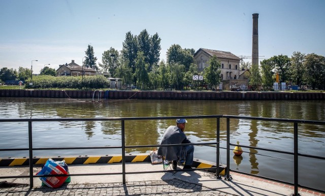 Po zrzucie ścieków do Motławy Wojewódzki Inspektorat Ochrony Środowiska publikuje wyniki stanu wody z 17 maja 2018 r.