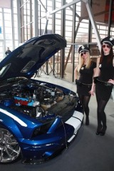 Poznań Motor Show 2014: samochody, motocykle, nawet samoloty (ZDJĘCIA)