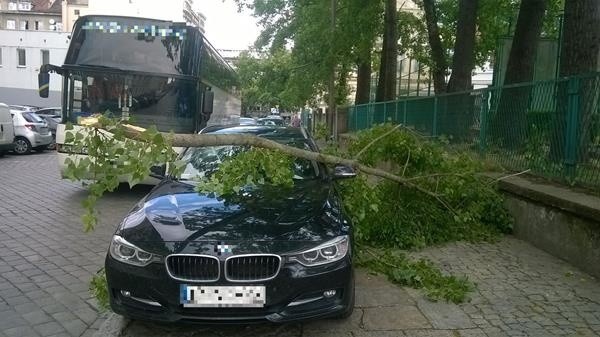 Złamana gałąź niszczyła samochód