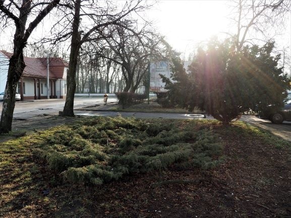 Tak rynek w Radzyniu wygląda dzisiaj. "Trzeba wyremontować...