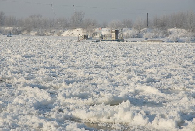 Wisła została częściowo skuta lodem, dlatego przeprawa promowa w Tarnobrzegu nie działa.