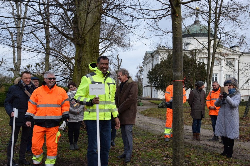 Firma Lafarge wspomaga Pałac Lubostroń w odtworzeniu parku po nawałnicy w 2017 roku [zdjęcia, wideo]