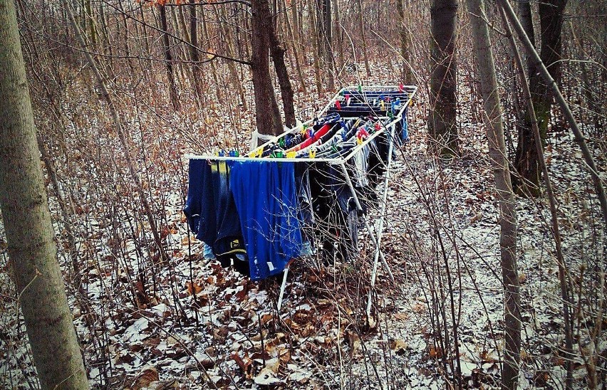 Suszarka z praniem w lesie koło Bielawy