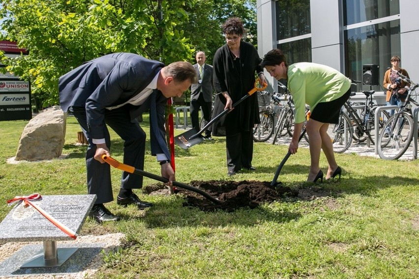 Dąb pamięci będzie przypominał o pierwszym marszałku Małopolski Marku Nawarze [ZDJĘCIA]