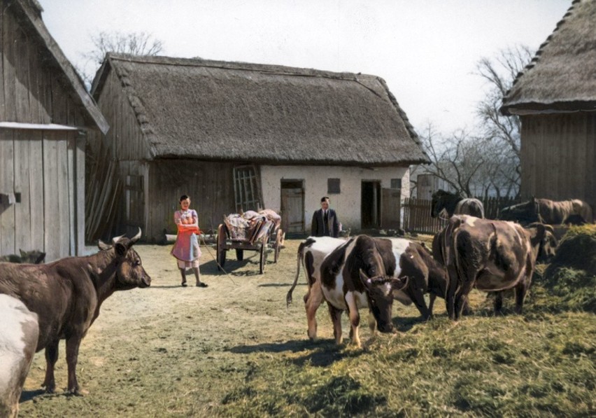 kwiecień 1942, Gozdawa, gospodarstwo rolne
