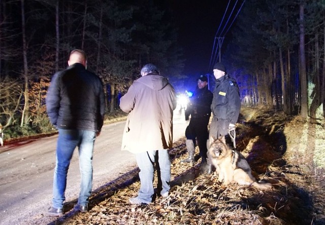 Poszukiwania dziewczynki. W akcji brało udział kilkuset policjantów z psami tropiącymi, helikopter oraz ochotnicy.