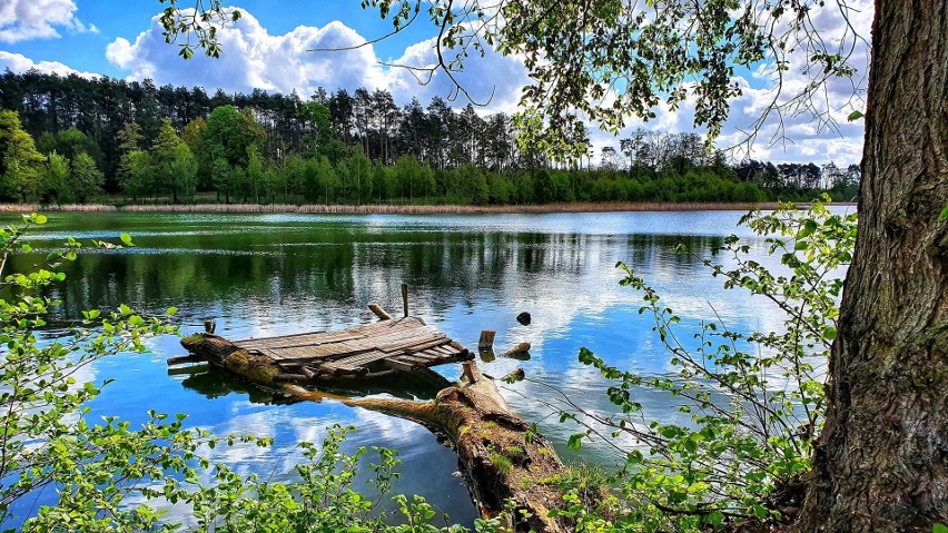 Jezioro Reczynek jest najbardziej znanym z Ośniańskich...