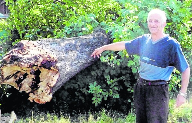 Burza powaliła kasztanowca na działkę Zbigniewa Jasińskiego. Mężczyzna stał tam chwilę wcześniej