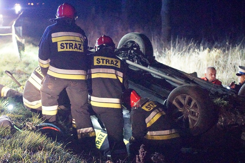 Wypadek pod Kamieniem. Samochód uderzył w dzika [zdjęcia]