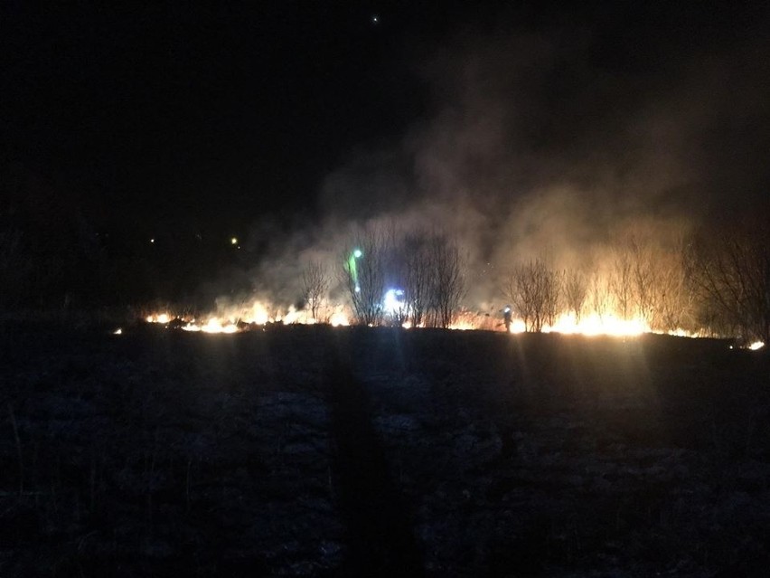 Powiat wielicki. Plaga pożarów traw. Służby biją na alarm