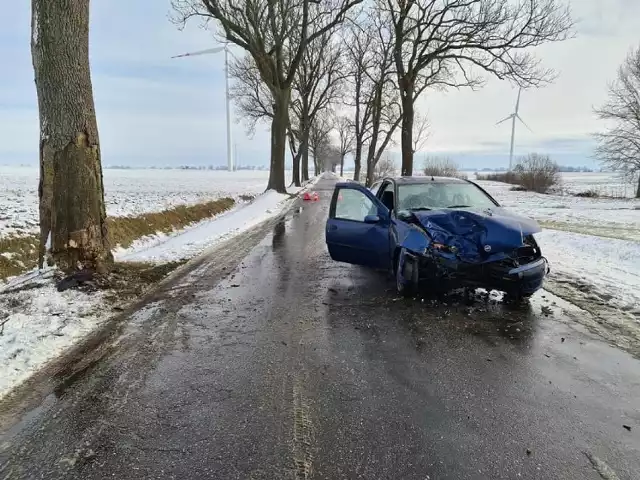 Auto uderzyło w drzewo, jedna osoba została odwieziona do szpitala na badania