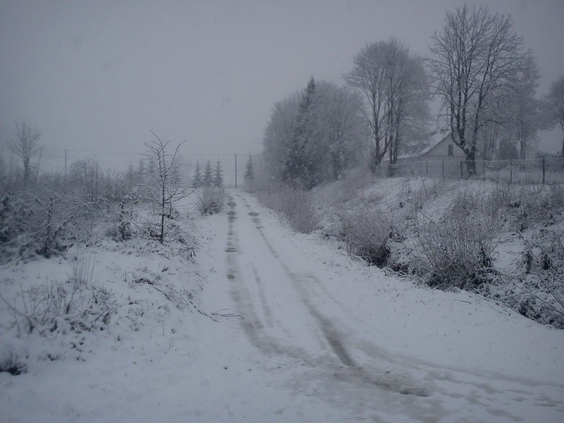 Śnieg w Bieszczadach
Śnieg w Orelcu.