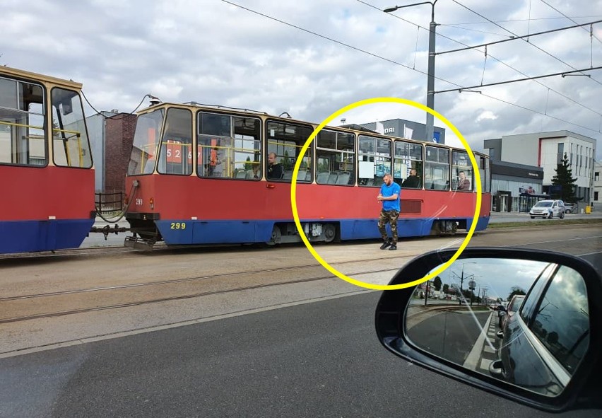 "Podniósł ptaszka i niósł go, tuląc w dłoniach. Niebywały...