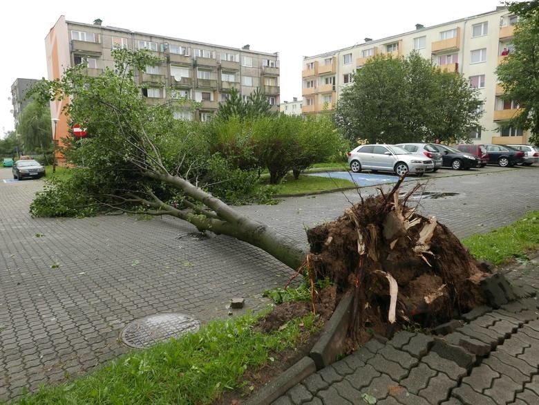 Białystok chce pomóc Pomorzanom