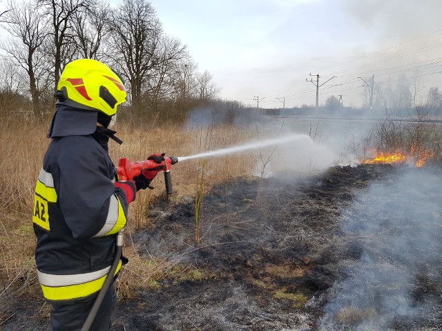 Strażacy z OSP Orońsko w ostatnim czasie interweniowali przy pożarach traw i nieużytków.