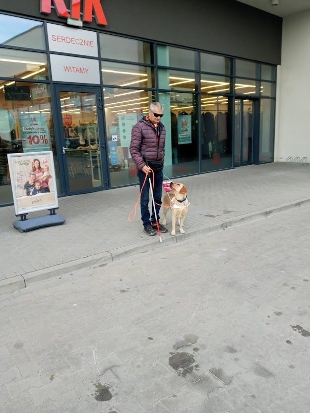 Do Lidla z psem. Sieć wyszkoli swoich pracowników w standardzie obsługi osób robiących zakupy z psem przewodnikiem