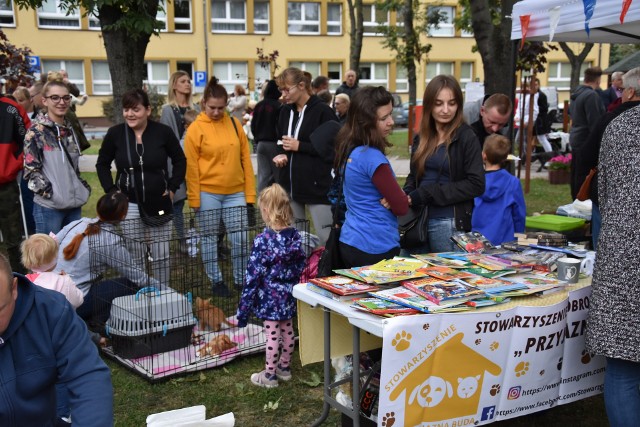 Stowarzyszenie "Przyjazna Buda" prowadzi liczne akcje społeczne. Zaprasza w sobotę na Dzień Kundelka