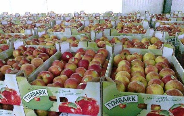 Akcja &#8222;Jabłka Tymbark z polskich sadów&#8221; już niedługo w Białymstoku. Pół miliona jabłek rozdadzą pracownicy firmy Tymbark wraz z rodzinami
