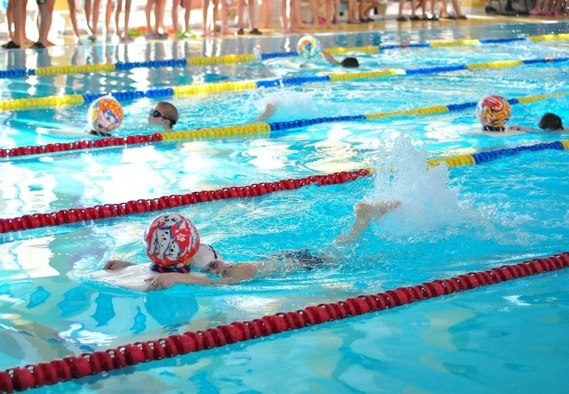 We wtorek w pływalni Ośrodka Sportu i Rekreacji w Tarnobrzegu odbyły się Zawody Mikołajkowe w pływaniu, w których uczestniczyli reprezentacji wszystkich tarnobrzeskich szkół podstawowych oraz gimnazjalnych. Jedną z konkurencji było pokonanie 25 metrów basenu z piłką umieszczoną na desce.