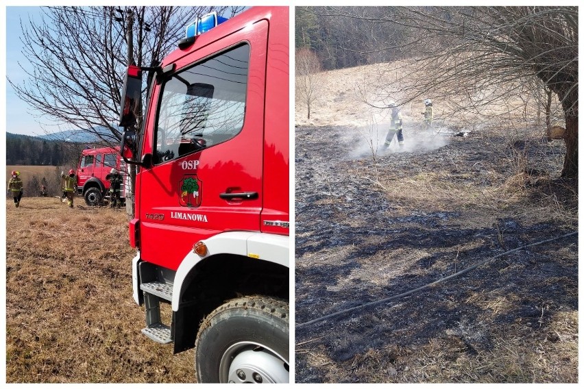 Małopolska. Niechlubny rekord i tragedie. Wypalają trawy na potęgę mimo usilnych próśb strażaków [ZDJĘCIA]