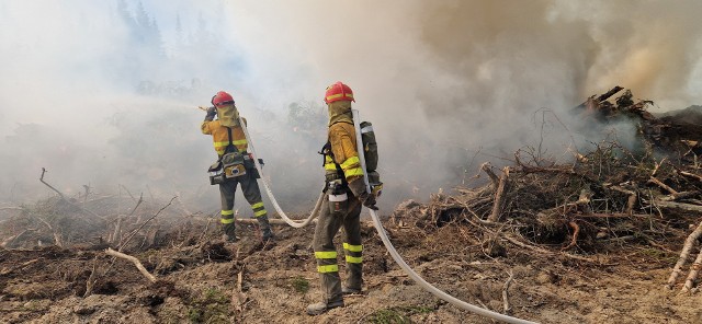 Przy gaszeniu pożarów pomagają m.in. hiszpańscy strażacy