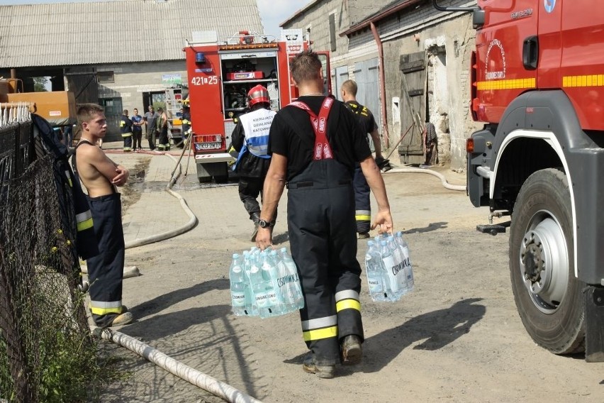 Pożar w Suchodębiu koło Kutna. Spłonęło osiem krów [ZDJĘCIA]