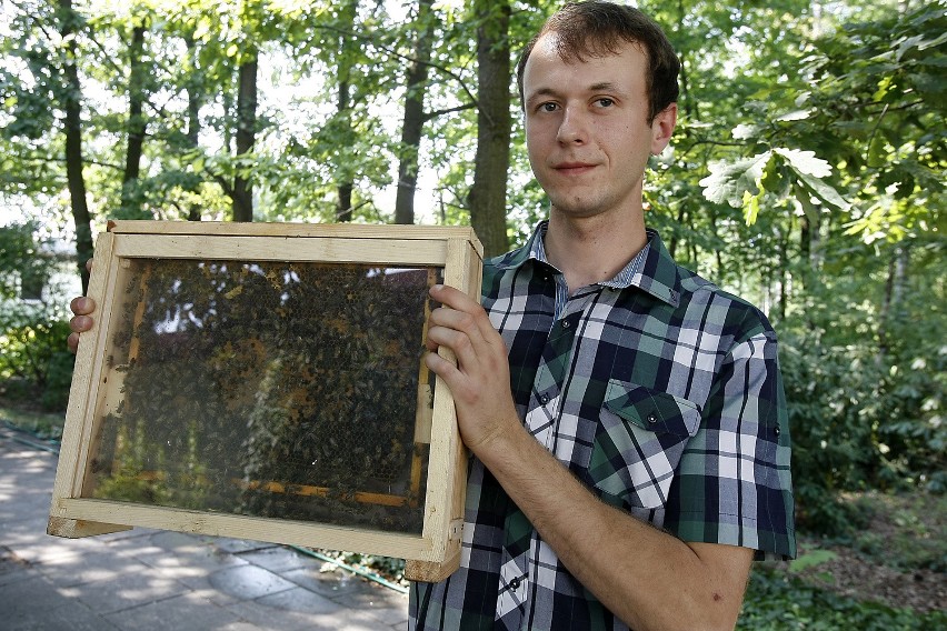 Wielki Dzień Pszczół w Ogrodzie Botanicznym w Łodzi [ZDJĘCIA]