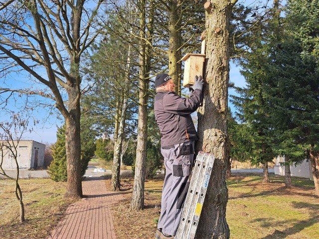 W Ogrodzie Botanicznym IHAR pojawiły się wykonane przez pracowników budki lęgowe