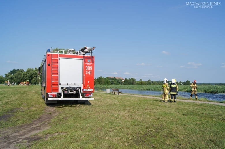 Przyducha zabiła tysiące ryb. Na szczęście poziom tlenu w...