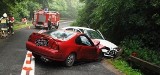 Czapielsk. Czołowe zderzenie hondy i renault