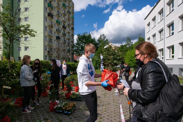 W maju br. Ekobohaterzy z budowlanki zorganizowali na terenie szkoły akcję &quot;Zieleńmy się!&quot; i przekazywali mieszkańcom nieodpłatnie rośliny. Teraz zachęcają bydgoskie przedszkola do przeprowadzenia zajęć ekologicznych według scenariusza, kt&oacute;ry stworzyli.