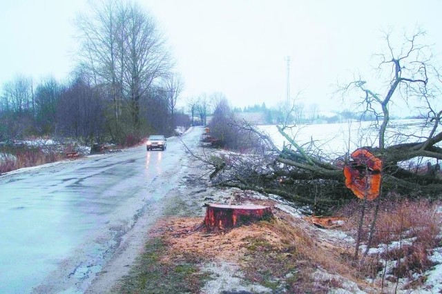 Na remontowanym odcinku drogi rozpoczęła się już wycinka drzew.