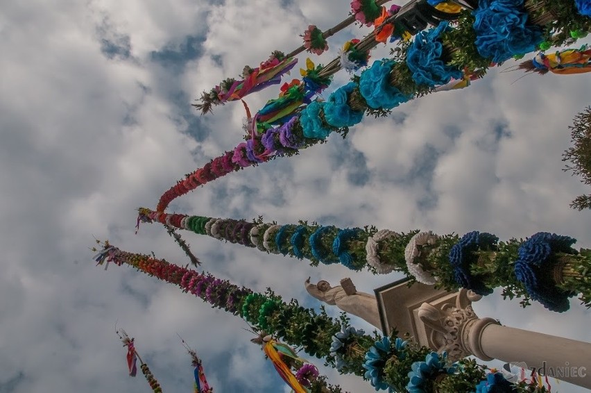 Lipnica Murowana 2019. Słynny konkurs palm. Świetne zdjęcia Zdzisława Dańca GALERIA