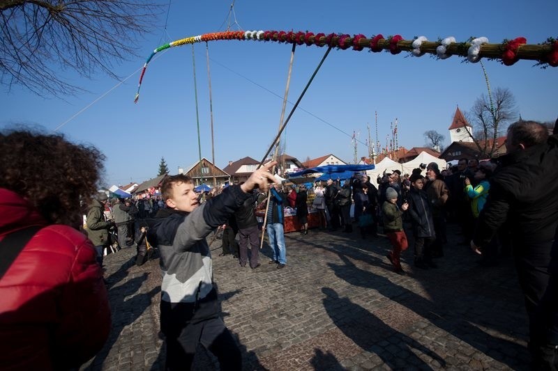 Moment stawiania najwyższych palm na lipnickim Rynku jest...