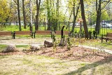 Oto najbardziej eko szkoła - IX LO w Łodzi -  fotowoltaika, pompa ciepła, ogród ZDJĘCIA 