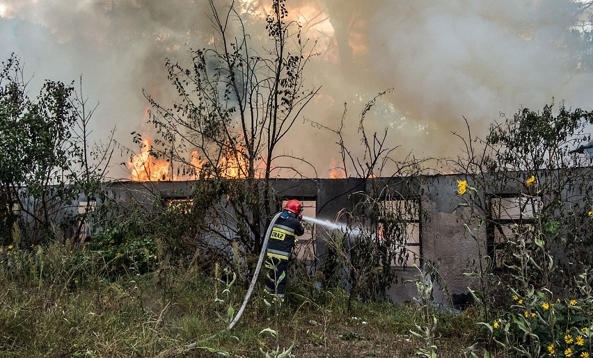 Wrzesień 2016: Pożar baraków przy ul. Toruńskiej w...