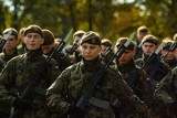 Wojska Obrony Terytorialnej: Zmiana statusu do natychmiastowego stawiennictwa żołnierzy