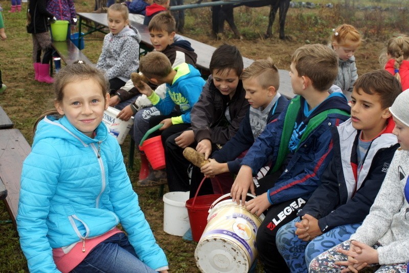 Wykopki: Dzieci z Połomi wzięły udział w tradycyjnych...