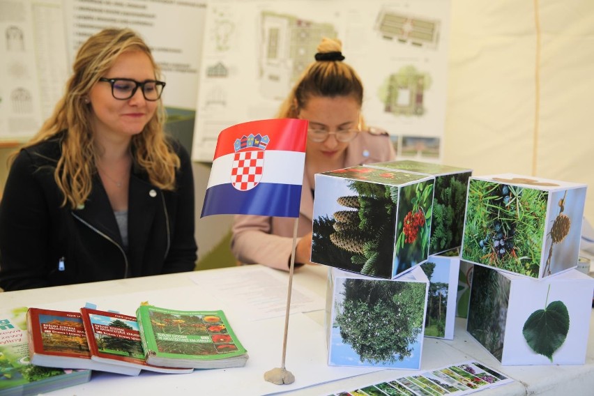 Tak świętowano na Pikniku Chorwackim w ubiegłym roku.