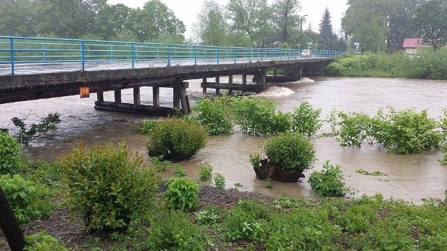 16.05.2014r Ochaby, rzeka wisła godz 9.30