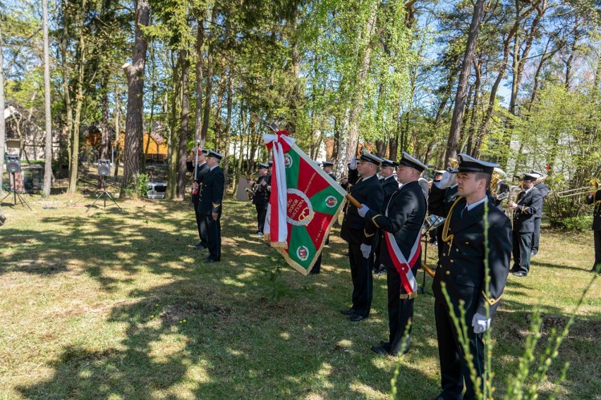 Dąb Pamięci gen. Hallera we Władysławowie