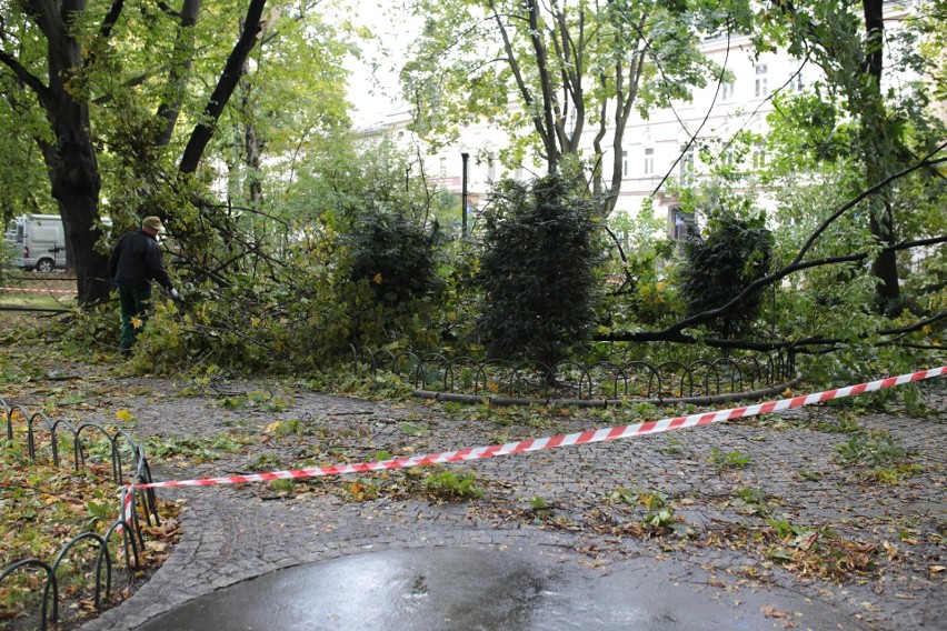 Orkan Ksawery w Krakowie. Wielkie sprzątanie na Plantach [ZDJĘCIA]